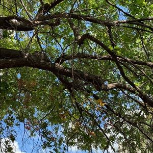 Meet your Posher, Ina